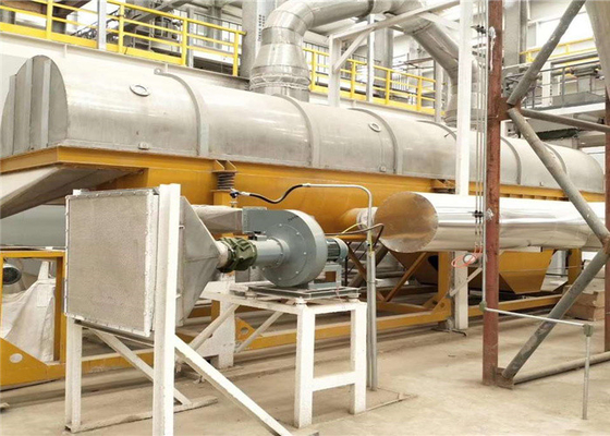 I granelli spolverizzano il riso continuo industriale di vibrazione dello SpA dell'essiccatore del letto fluido