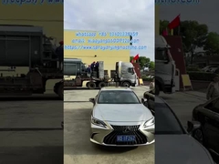 Essiccatore a palette industriale per il trattamento dei rifiuti