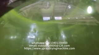 Trasforma i liquidi in polveri di alta qualità con i nostri sistemi avanzati di essiccazione a spruzzo